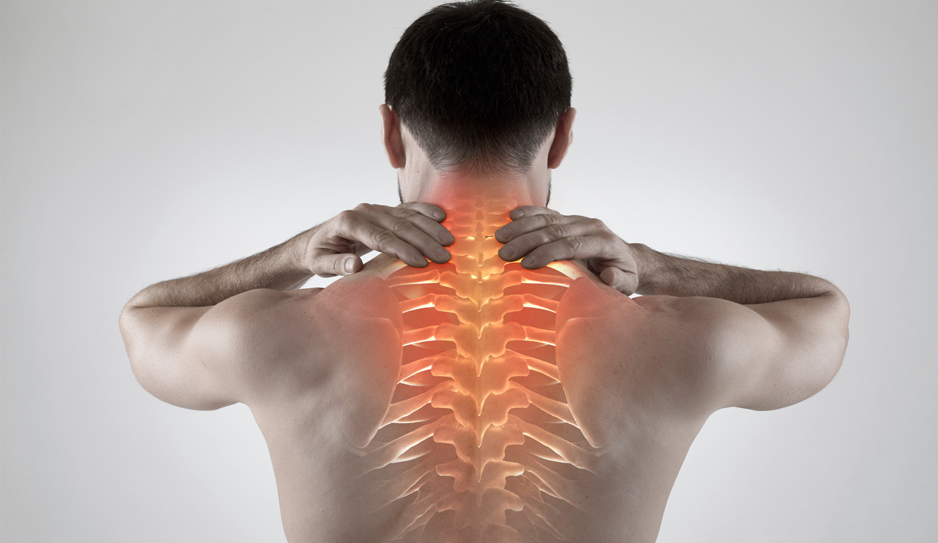 Programa de Reabilitao da Coluna Vetebral 