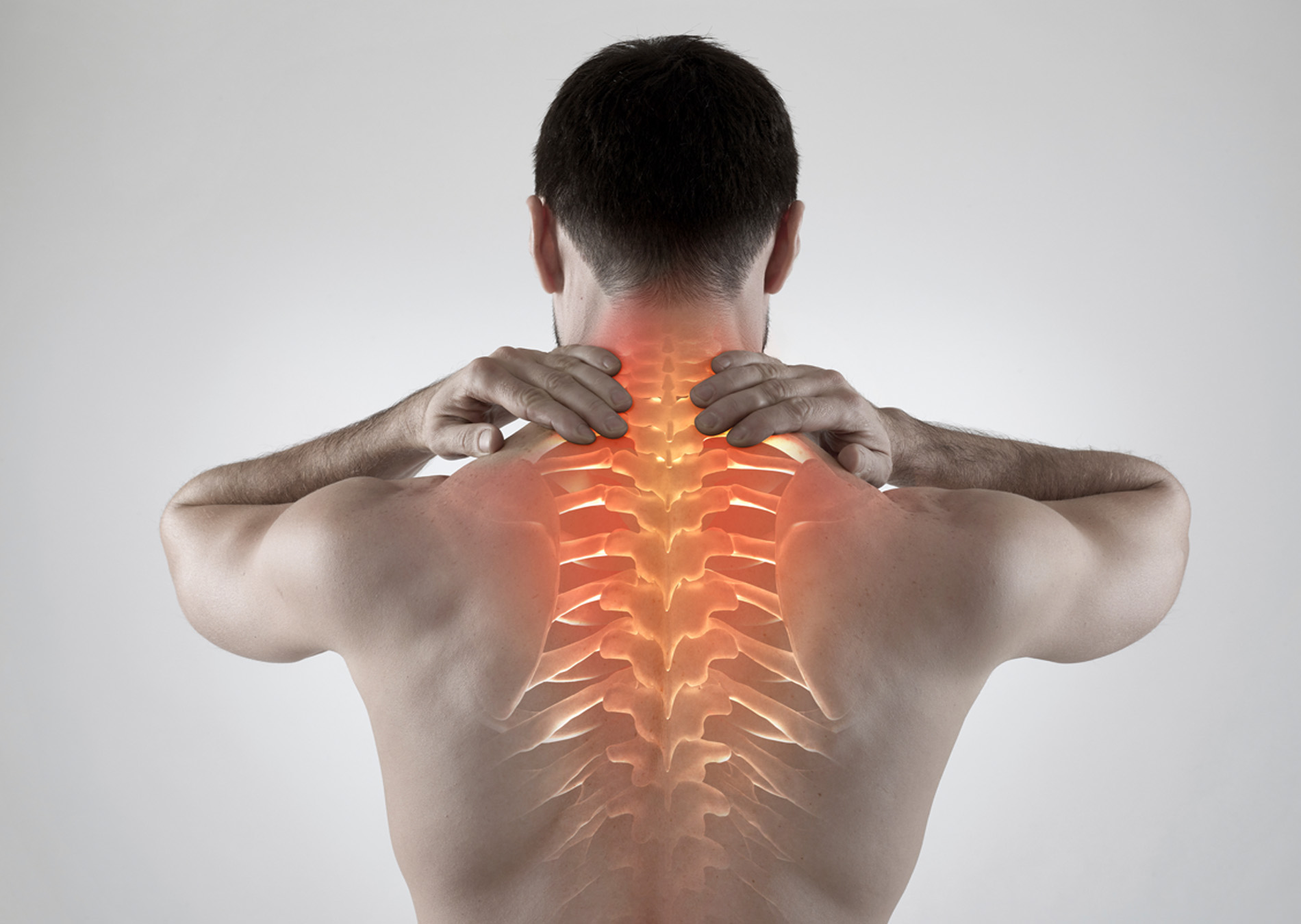 Programa de Reabilitao da Coluna Vetebral 